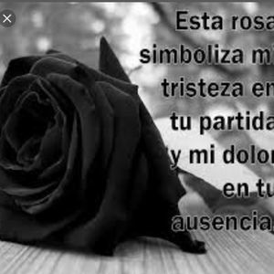 Meet your Posher, Evy